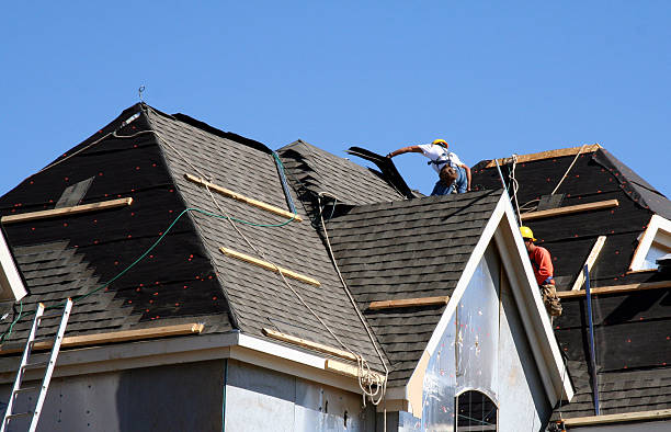Best Gutter Installation and Roofing  in Pinewood, FL